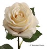 Floral Home 20" Cream Open Rose - 48-Piece - 2 of 2