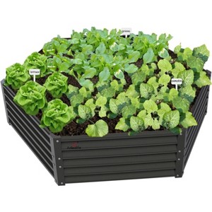 Chery Life 70x60x18in Hexagon Galvanized Raised Garden Beds Outdoor, Hex Metal Planter Box for Planting Vegetables Flowers Herb - 1 of 4