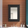 MAYEERTY 20" Wall Mounted Bathroom Storage Cabinet with Mirror Medicine Cabinet with Height Adjustable Shelf for Bathroom Black - 2 of 4