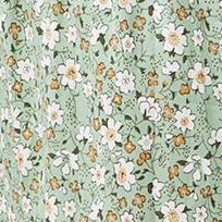 yellow white flowers on green background