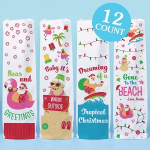 Big Dot of Happiness Tropical Christmas Wine Gift Bags, Funny Beach Santa Holiday Hostess Thank You Wine Bottle Gift Wrap, Holiday Paper Bags - 12 ct - 1 of 4