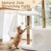 CuisinSmart 43" Modern Natural Wood Cat Tree for Cats Aesthetic Cat Tower with Large Basket, Scratching Posts and Real Branch Design - 4 of 4