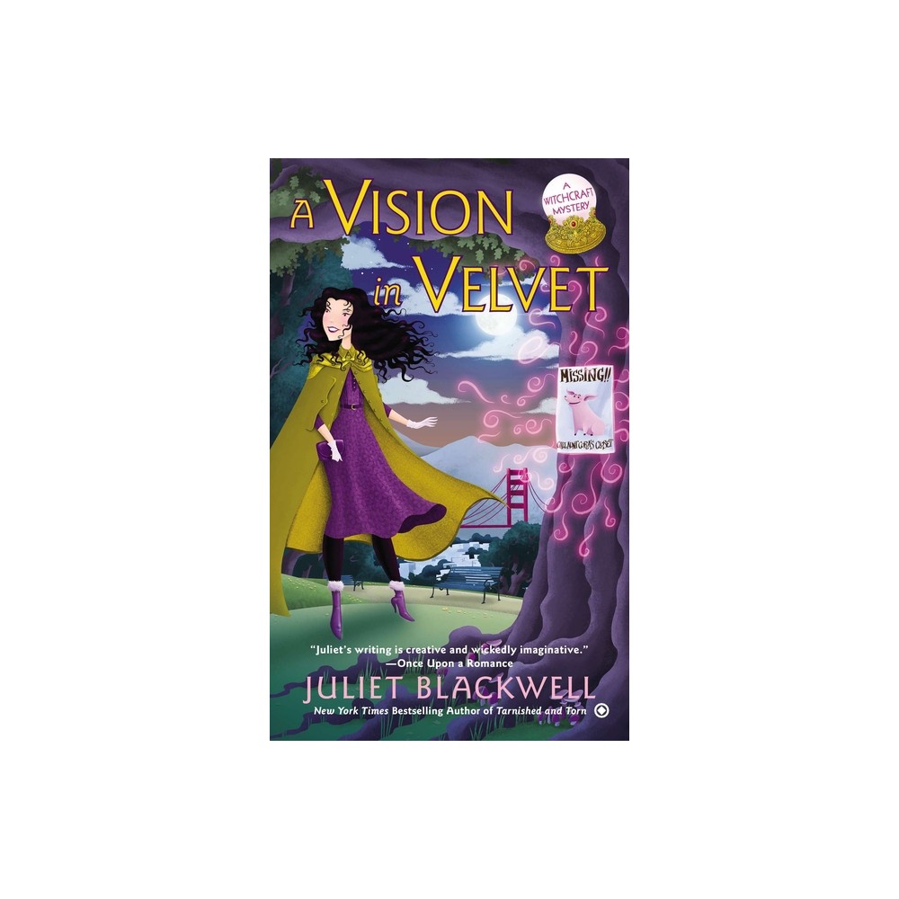 A Vision in Velvet - (Witchcraft Mystery) by Juliet Blackwell (Paperback)