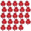 Big Dot of Happiness Drink If Game - Canada Day - Canadian Party Game - 24 Count - 2 of 4