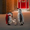 Northlight 3D Lighted Winter Penguin Family Outdoor Christmas Yard Decoration - 32" - Set of 3 - 2 of 4