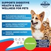 Beloved Pets Natural Intestinal Defense Herbal Cleanse for Dogs and Cats, Advanced Broad Spectrum Formula Gut Health Supplement 2 Oz - 1 Pack - 2 of 4