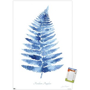 Trends International Jean Plout - Indigo Botanical Asoidium Angulare Unframed Wall Poster Prints - 1 of 4