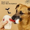ZippyPaws 10PC Halloween Theme Dog Toys: Puppy Small Dogs Squeaky Crinkle Plush Chew Toys - 4 of 4