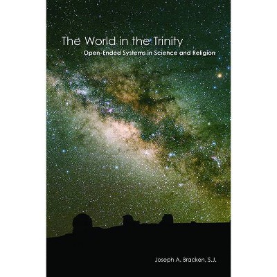 The World in the Trinity - by  Joseph A Bracken S J (Paperback)