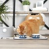 Bone Dry Pet Bowl - Set/2 - 3 of 4