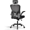 Ergonomic Office Chair for 5'2"-6'4" Users, High Back Mesh Computer Desk Chair with Flip-up Armrests, Capacity Home Office Chair,  Black - 3 of 4