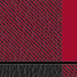 atlanta falcons