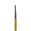 Wooster Genuine -6 Camel Watercolor Pointed Artist Paintbrush - F1628-6 - 2 of 4