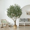 DR.Planzen 7FT Artificial Olive Tree with Thick Stump - UV Resistant Faux Plant for Indoor/Outdoor, Black Pot & Realistic Green Leaves - 2 of 4