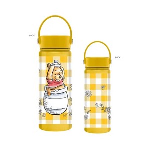 Silver Buffalo Disney: Winnie the Pooh - Chains 20oz Stainless Steel Water Bottle - 1 of 1