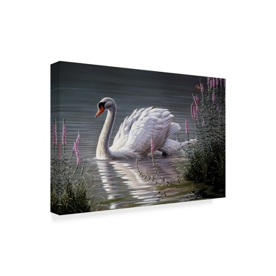 Trademark Fine Art -Wilhelm Goebel 'Summer Idyll Mute Swan' Canvas Art
