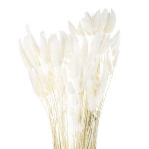 Unique Bargains Decorative Natural Dried Floral Bunny Tail Artificial Plants 120 Pcs - 1 of 4