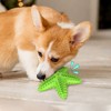 Cesicia Lake Blue Dog Toy, Molar Stick Leaking Food Dog Toothbrush - 4 of 4