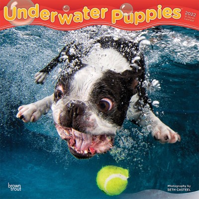 2022 Square Calendar Underwater Puppies - BrownTrout Publishers Inc