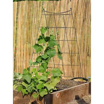 Gardeners Supply Company Wire  A-Frame Trellis | Strong and Sturdy Metal Outdoor Garden Trellis Plant Support for Cucumbers, Squash, Vine Herbs &