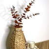 Sullivans Artificial Eucalyptus Spray 33" Brown - 2 of 3