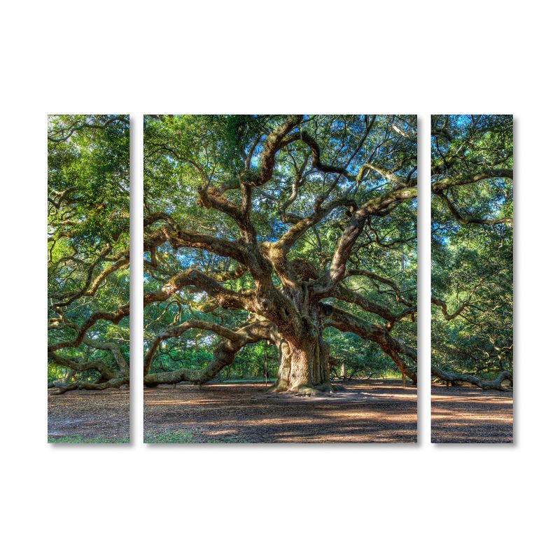 Trademark Fine Art -QVC ONLY Lavish Home Pierre Leclerc 'Angel Oak Charleston' Multi Panel Art Set Large, 2 of 4