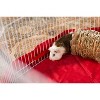 Prevue Pet Products 1098 Nature's Hideaway Grass Tunnel Toy, 13.5" x 6 " - 2 of 3