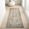 Nuloom Hillstone Collection Deka Traditional Vintage Medallion Area Rug - 2 of 4
