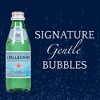 San Pellegrino Sparkling Natural Mineral Water - 8.45 Fl Oz Glass Bottle (Pack of 10) - 2 of 4