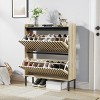 DOMETOUR 2 Flip Shoe Cabinet, Multi-layer Shoe Rack, Modern Minimalist, Storage Cabinet, for Entryway - 3 of 4