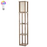 63.5" 3-Shelf Etagere Rustic Wooden LED Floor Lamp with Pull-Chain USB Charging Port Smart Bulb Brown (Includes LED Light Bulb) - JONATHAN Y