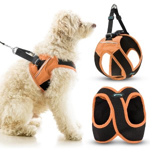Gooby Escape Free Easy Fit X Step in Dog Harness Atlanta Peach, Small - 1 of 2