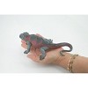 Collectible Wildlife Gifts | Iguana, Marine iguana, Museum Quality, Hand Painted, Rubber Reptile, Realistic Lizard, Toy, Gift,  7 1/2" CH504 BB156 - 3 of 4