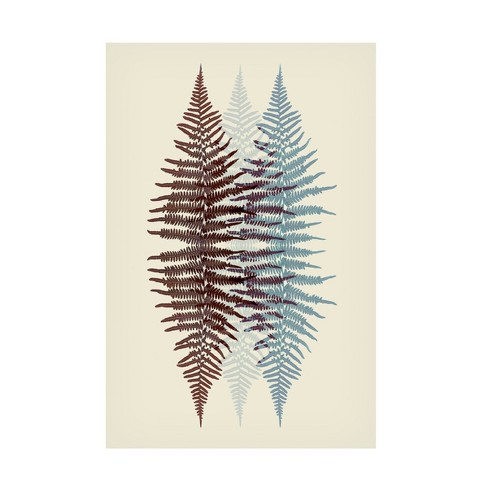 Trademark Fine Art - Alyson Fennell Chocolate And Teal Fern Canvas Art 