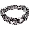 Country Brook Petz HossFit Jr Wide Premium  Dog Collar - Halloween Collection - 3 of 4