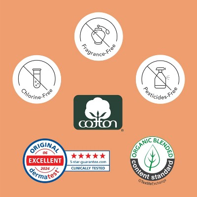 Rael Organic Cotton Cover Panty Liners Regular - 20ct