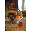 RESCUE! Indoor Non-Toxic Reusable Fruit Fly Trap with Liquid Attractant - 3 Pack (3 Traps) - 2 of 4