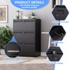 SUXXAN Metal Lateral File Cabinet, 30.24" H Lockable Files Cabinet, Ins Design Office Cabinet with 2 Drawers, Assembly Required,Black - 4 of 4