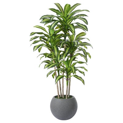 DR.Planzen 7ft UV Resistant Artificial Dracaena Tree with Gray Tall Planter, Pre Potted Fake Plants for Indoor Outdoor Home Decor, Big Faux Tree