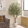 Dr.Planzen 6ft Artificial Olive Tree in White Planter - Faux Olive Tree for Indoor/Outdoor Decor, Fake Plant with Realistic Green Branches - 2 of 4