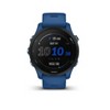 Garmin Forerunner 255 - Slate Gray : Target