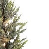 Northlight 1.3 FT LED Lighted Red Potted Artificial Tabletop Iced Christmas Tree Decoration - Clear Lights - 2 of 3