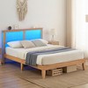 Bed Frame,  Bed Frame with Rattan Storage Headboard, Adjustable LED Lights, Wooden Support Legs - 3 of 4