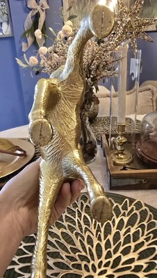 Guest review image 4 of 6, zoom in