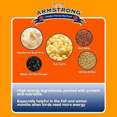 Armstrong Four Season Suet Cake Pack for Wild Birds, 11.3oz, 15-Pack