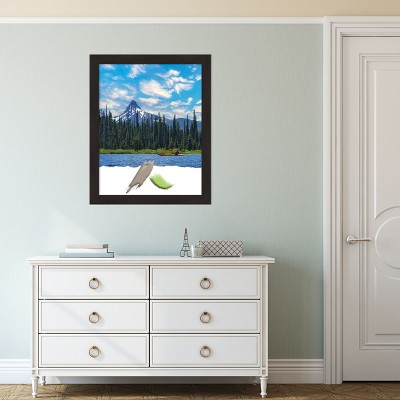 Espresso Brown Narrow Wood Wall Picture Frame 34.48 x 28.9 in