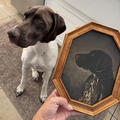 Guest review image 1 of 1, zoom in