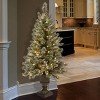 4' Prelit LED Glittery Bristle Pine Entrance Tree Twinkly White Lights - National Tree Company - 2 of 4