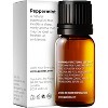 Gya Labs Peppermint Essential Oil for Diffuser & Hair - 0.34 Fl Oz - 100% Pure Natural Peppermint Mint Oil for Skin, Face, Body - 2 of 4