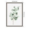 Amanti Art Tender Sprout II (Eucalyptus) by Eva Watts Canvas Wall Art Print Framed 16 x 23-in. - 3 of 4